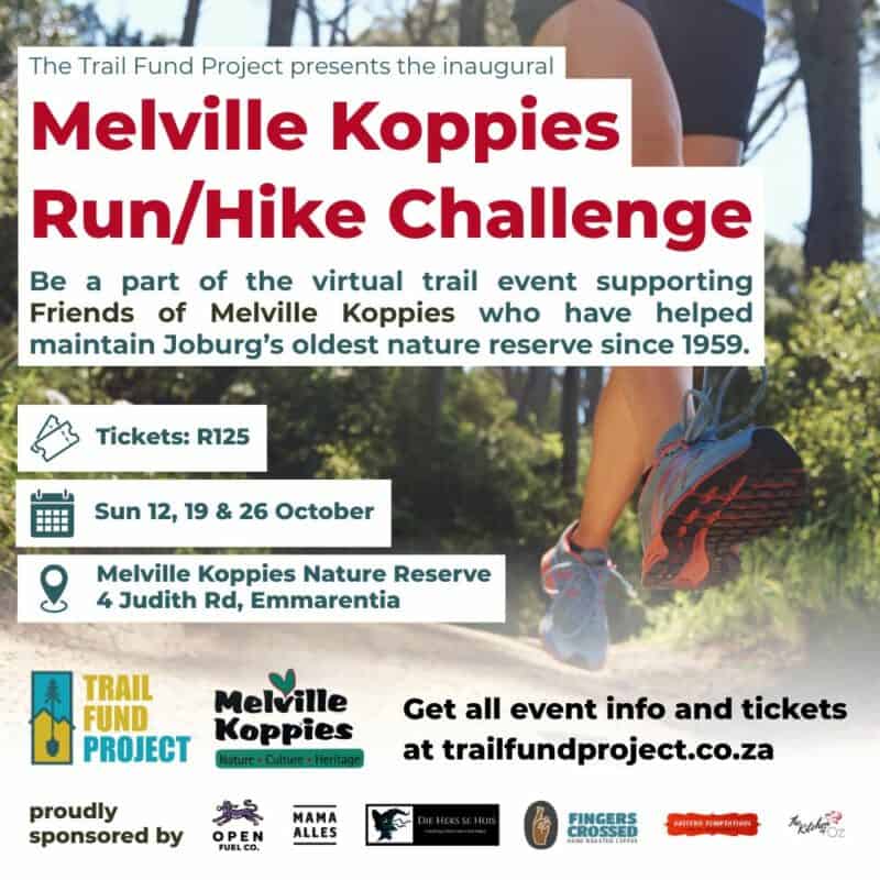 Come to the Melville Koppies from October onwards to find your inner artist, or to virtually explore the area, or you can just put on your hiking shoes and enjoy it the way nature intended.