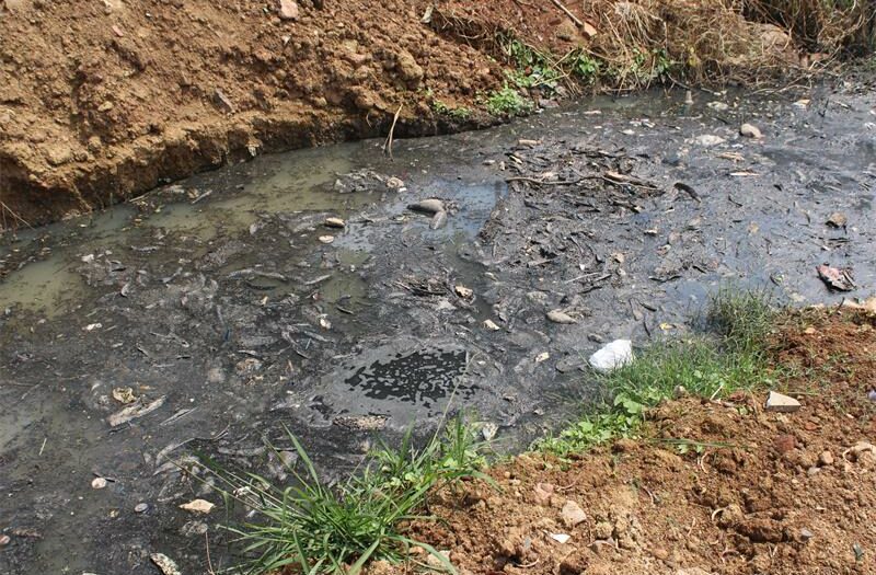 What was once a sports field at Laerskool Esparanza Primary School now lies abandoned, turned into a foul stream of sewage. The children’s classrooms and playgrounds sit just metres away from the stench and filth.