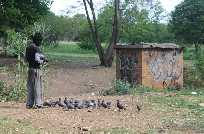Following months of unsafe conditions at Emma Park, the the green space will see a restoration as a fencing project will protect it from those undesired.