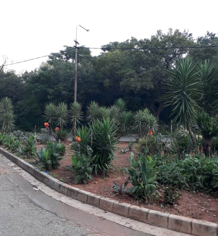 Once an overgrown dumping ground and safety hazard, the circle has been beautifully restored thanks to the dedication of residents.