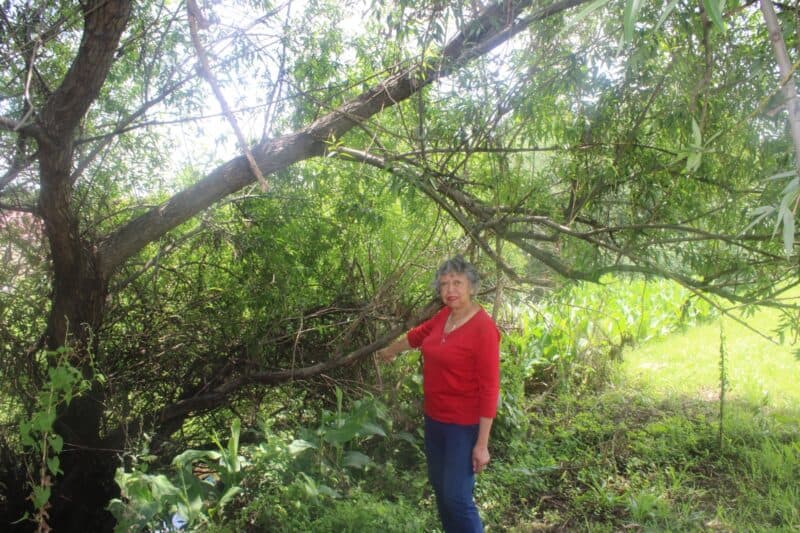 Residents are uniting with hope, determination, and open hands to bring new life to their park.