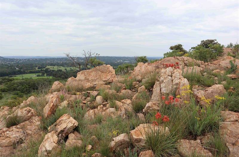 The reserve hopes Sunday visitors will help fund vital conservation work and maintain trails.