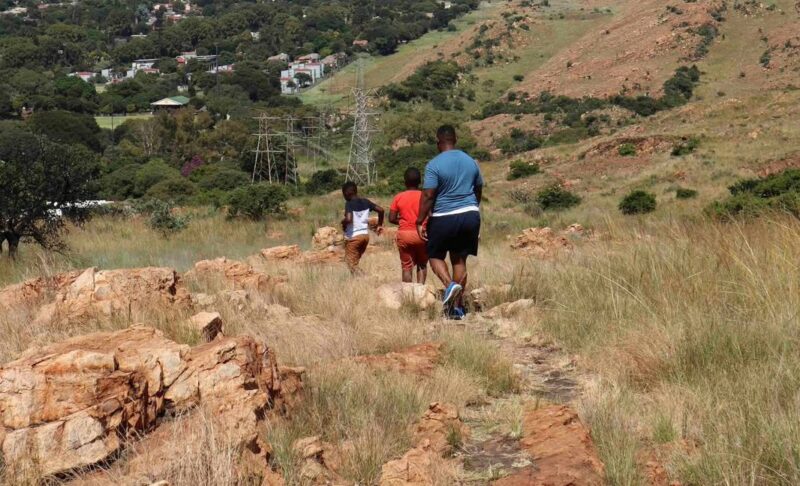 Whether you’re looking for a peaceful solo walk or a guided hike steeped in history, the Melville Koppies has something on offer as it opens for the new year.