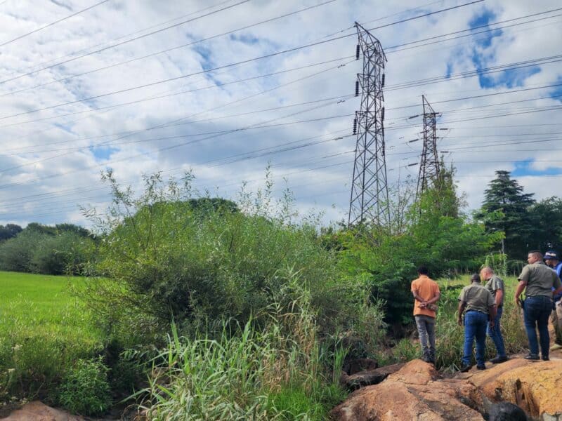 SCP Security on scene where a body was discovered by a resident in Montgomery Park on January 21, 2026. Photo: Supplied