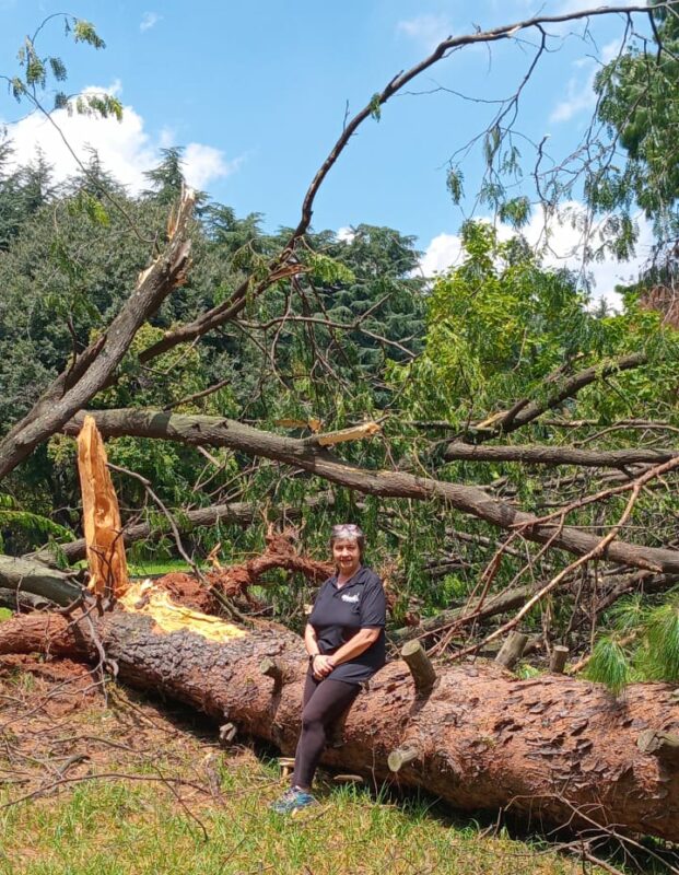 Extensive storm damage has left parts of the cemetery inaccessible, with large trees uprooted and entrances blocked.