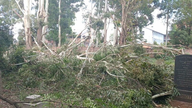 After severe storms left trees uprooted at Braamfontein Cemetery, JCPZ is set to prioritise safety while grappling with limited resources and growing maintenance backlogs.