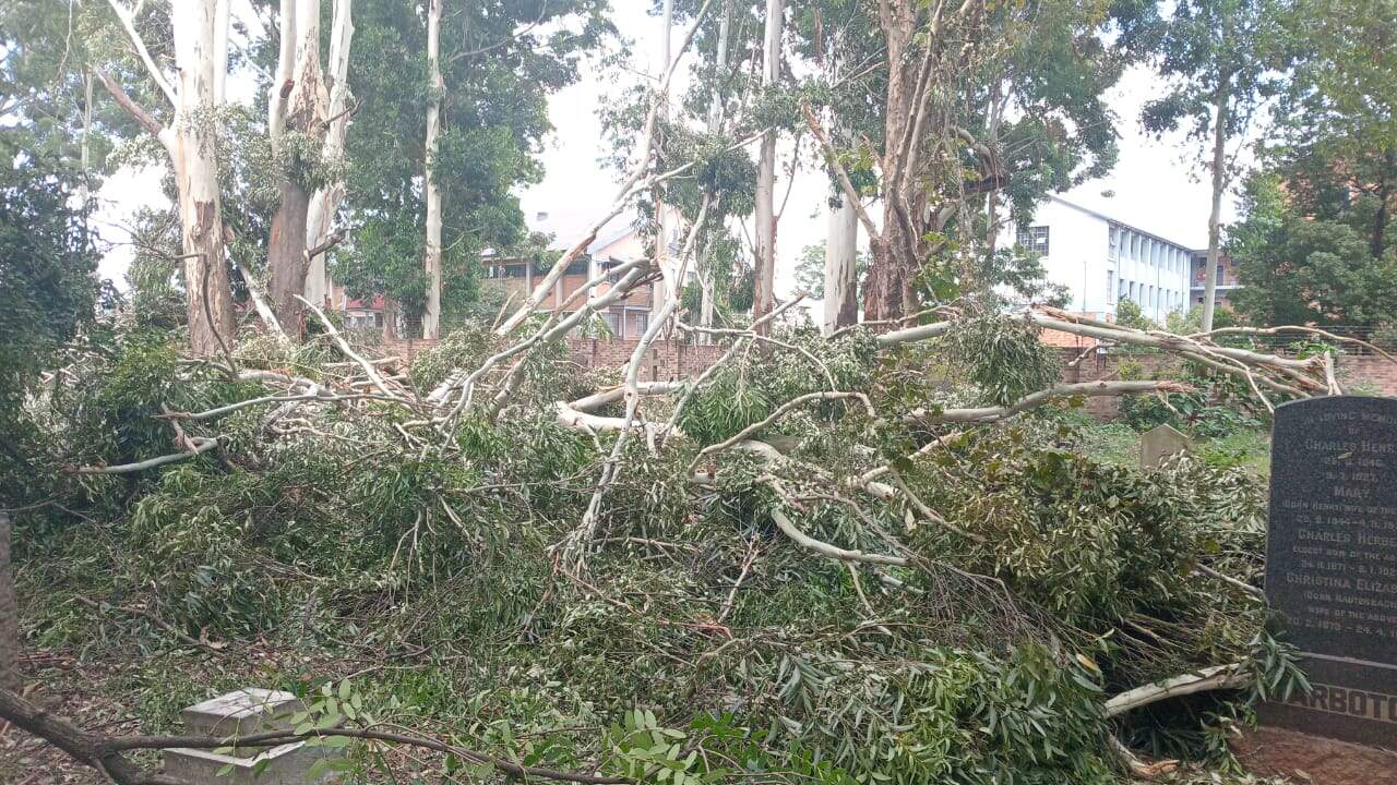 Johannesburg City Parks and Zoo acknowledges Johannesburg cemetery storm damage