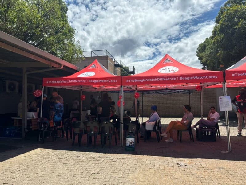 What’s more romantic than roses? Making sure your furry Valentine always finds their way home.