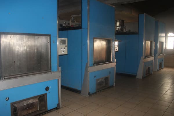 Historic Braamfontein Cemetery crematorium reveals secrets behind early modern funerary practices