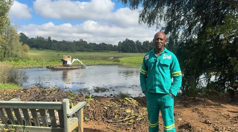 A large-scale removal project is helping restore balance to a dam overtaken by invasive water lilies.