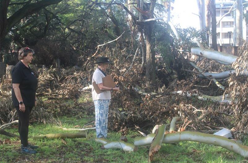 Friends of Johannesburg Cemeteries are concerned that the operation lacks direction, as debris continues to block graves.