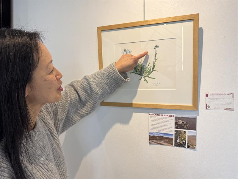 Each brushstroke tells a story of nature, resilience, and the urgent need for conservation.