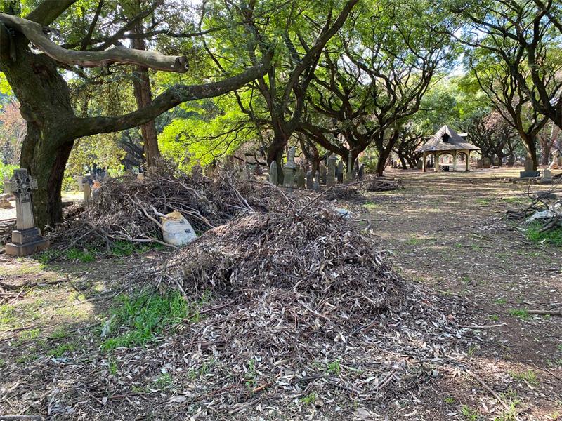 Four months after a destructive storm tore through Braamfontein Cemetery, debris and fallen trees remain on site, with questions being raised over the pace of the city’s clean-up operation.