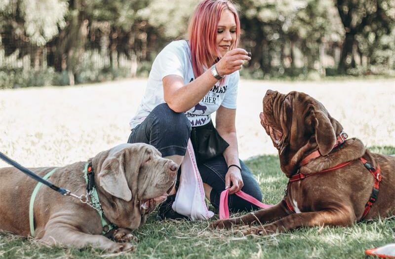 Marks Park All Breeds Dog Training trainer Cody Horner explains why many common dog behaviour problems actually begin with human habits.