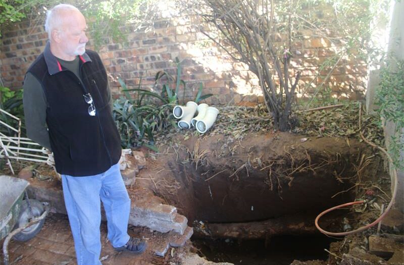 An incident with a kapok tree in Albertsville has prompted City Parks to stress early reporting and professional assessment before any tree removal is considered.
