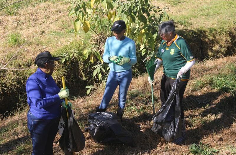 A dedicated group of volunteers proved that caring for Albertville Park is a year-round commitment, not just a Mandela Day tradition.