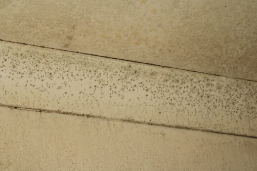 Black mould seen forming on the ceiling inside one of the units at Eeufees Oord Retirement Village on July 6, 2026, in Westdene. Photo: Waydon Jacobs