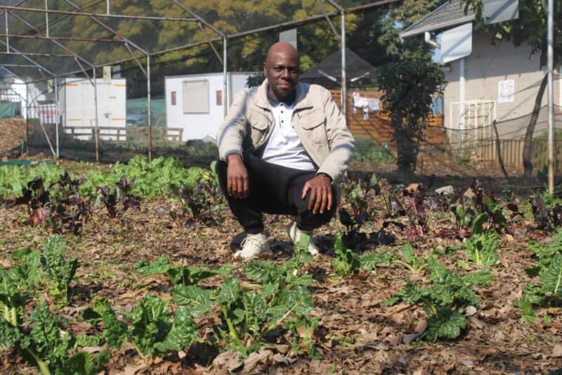 A community garden is helping people experiencing homelessness grow more than vegetables. Through sustainable farming, participants gain practical skills, confidence, and opportunities to build more independent futures.