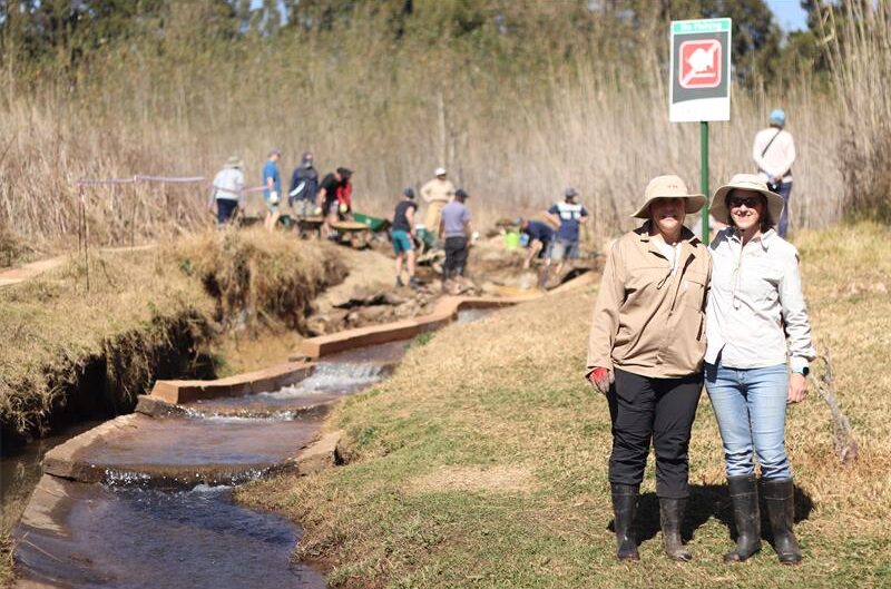 Volunteers, environmentalists, and scientists joined forces to restore the middle dam at the Johannesburg Botanical Gardens to help safeguard one of the city’s most valuable environmental assets.