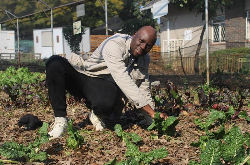 At Tshepo community development initiative, a vegetable garden is cultivating far more than fresh produce.