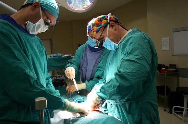 The Wits University Liver Transplant Programme has reached a historic milestone, but behind every successful operation is a story of teamwork, innovation and the life-changing gift of organ donation.
