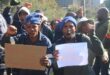 Protesters display placards reading ‘Feed Our Families’ and ‘Pay Mapitsi’ as contractors demand payment after alleging they have gone unpaid for more than three months on August 7, 2026. Photo: Waydon Jacobs