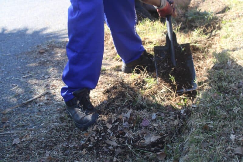 Volunteers tackled overgrowth and litter, but major repair work continues to await implementation.