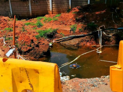 The leak that was not attended to by Johannesburg Water in Blairgowrie. Photo: Mthulisi Lwazi Khuboni