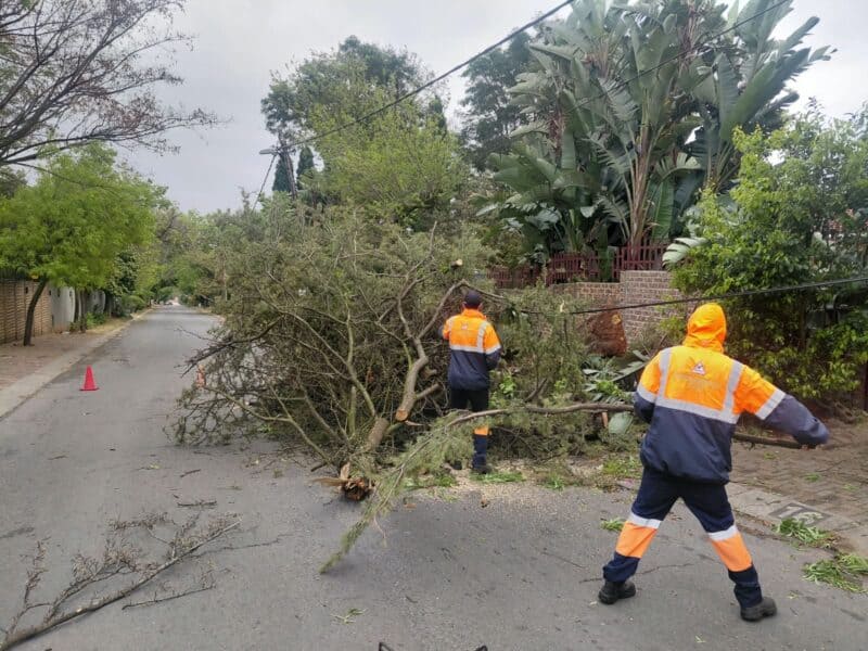 Residents seek shelter with family and friends after severe wind causes widespread property damage and blocks roads across several suburbs.