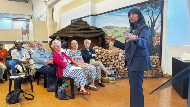 An augmented reality reconstruction of an ancient iron smelter shows Johannesburg's rich history began long before the 1886 gold rush.