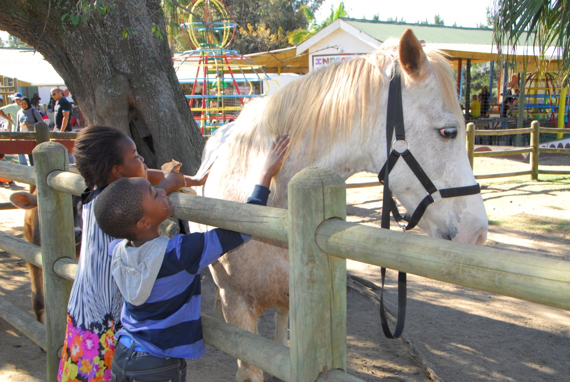Petting a horse at Flag Animal Farm