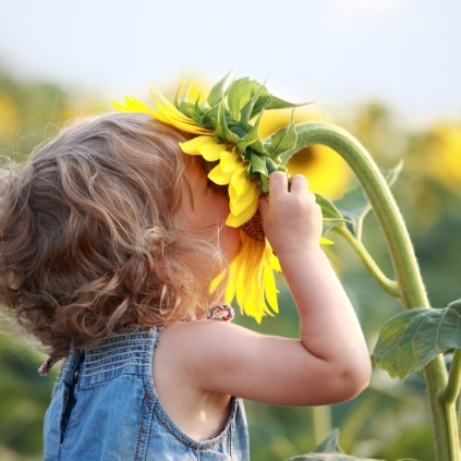 Photo: Stock image
