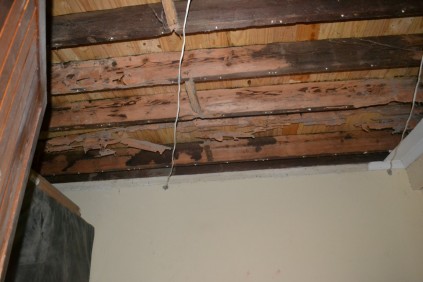 The ceiling under the school hall, wet after heavy rain. The floor above it is in danger of collapsing.