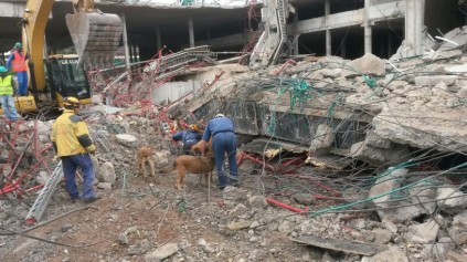 Heavy machinery was brought in to remove slabs of concrete to allow rescue workers access.