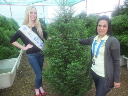Miss Ballito Shelley Buckle and Zimbali Rotary president Julie Cloete at the Chrismas tree sale which kicked of on Saturday.