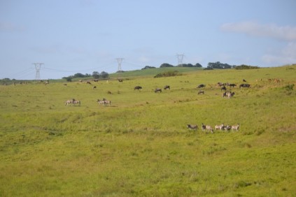 Rain Farm lodge.