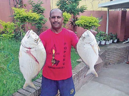 Shaun Naicker of Tongaat landed these two Stumpies at Lalalapa, Ballito on Saturday morning. The fish weighed around 4kg and 2kg respectively and were caught on ghost crab.
