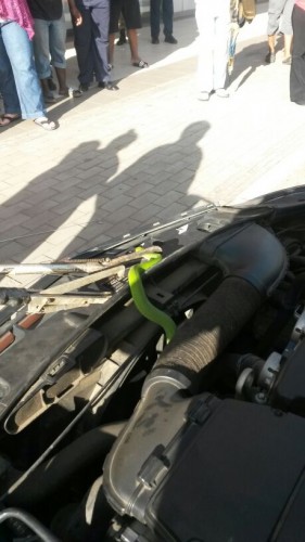Got it! Photo: Specialised Rescue.