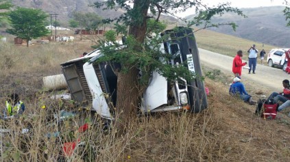 The vehicle hit a tree. Photo: IPSS Medical Rescue.