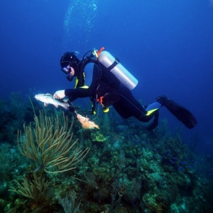 Photo: Stock image