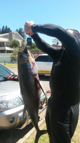 Proof! It was one strong tuna.