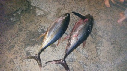 The fish the men got to take home after all the drama! Photo: Specialised Rescue Unit