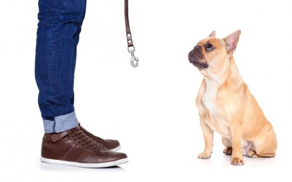 Photo: Stock image