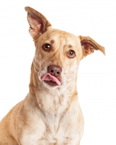 Photo: Stock image