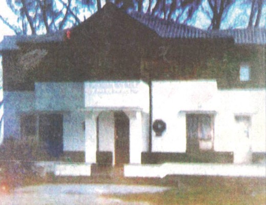 The ‘Ghost House’ in its former glory, surrounded by casuarina trees.
