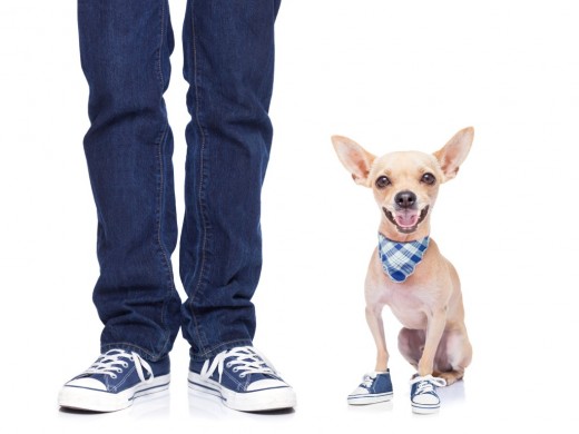 Take time out to bond with your most faithful friend.