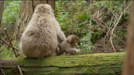 Parents always want to keep you close, so do not leave. 