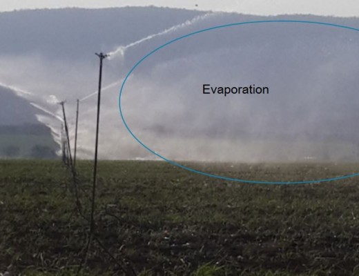 This kind of evaporation can be avoided with drip irrigation.