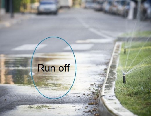 Stop watering the road or pavement.