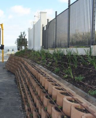 This system makes sure the plants are individually watered.